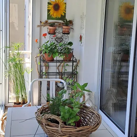 Appartement A 800 M De La Grande Et Du Centre *